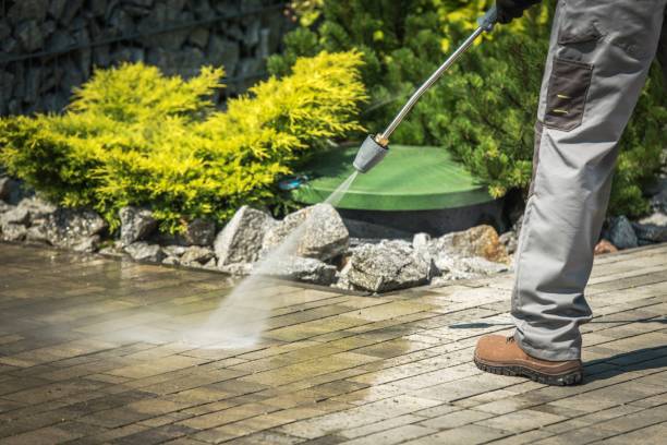 Best Winterizing Services  in Lake Holm, WA
